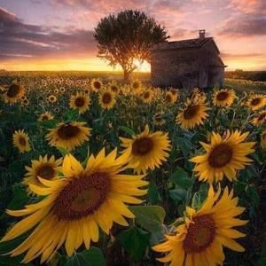 Meet your Posher, Alison